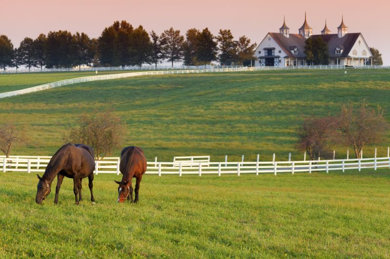 Horse Fence Replacement in Roseville, CA